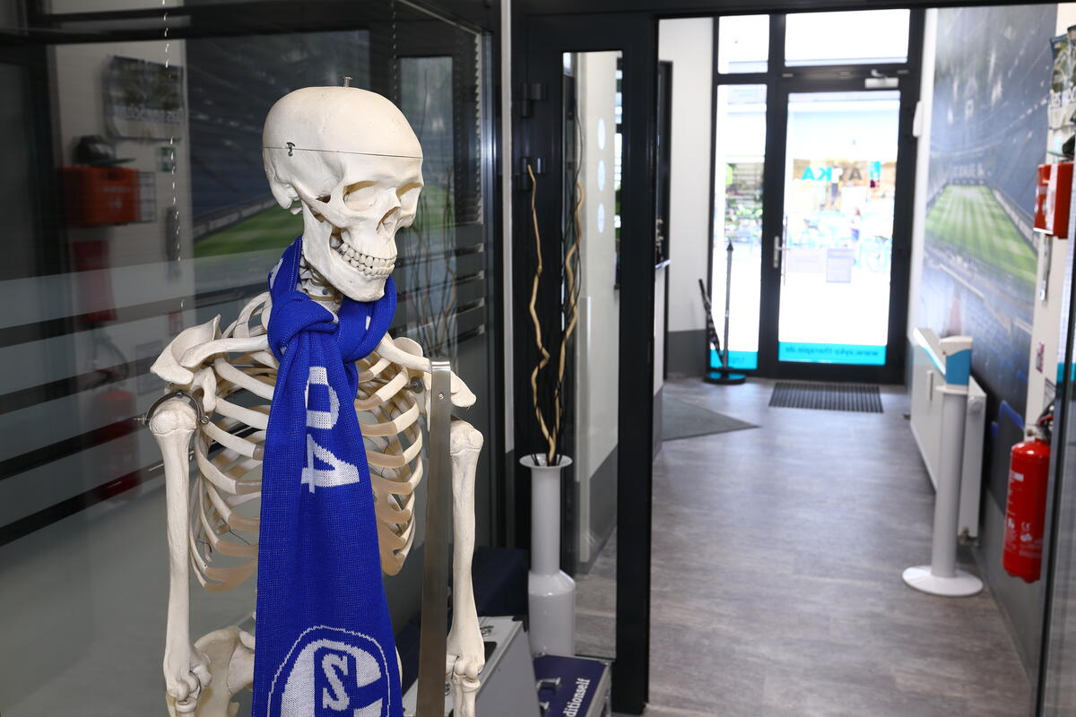 Ein Skelettmodell mit einem blauen Schal.